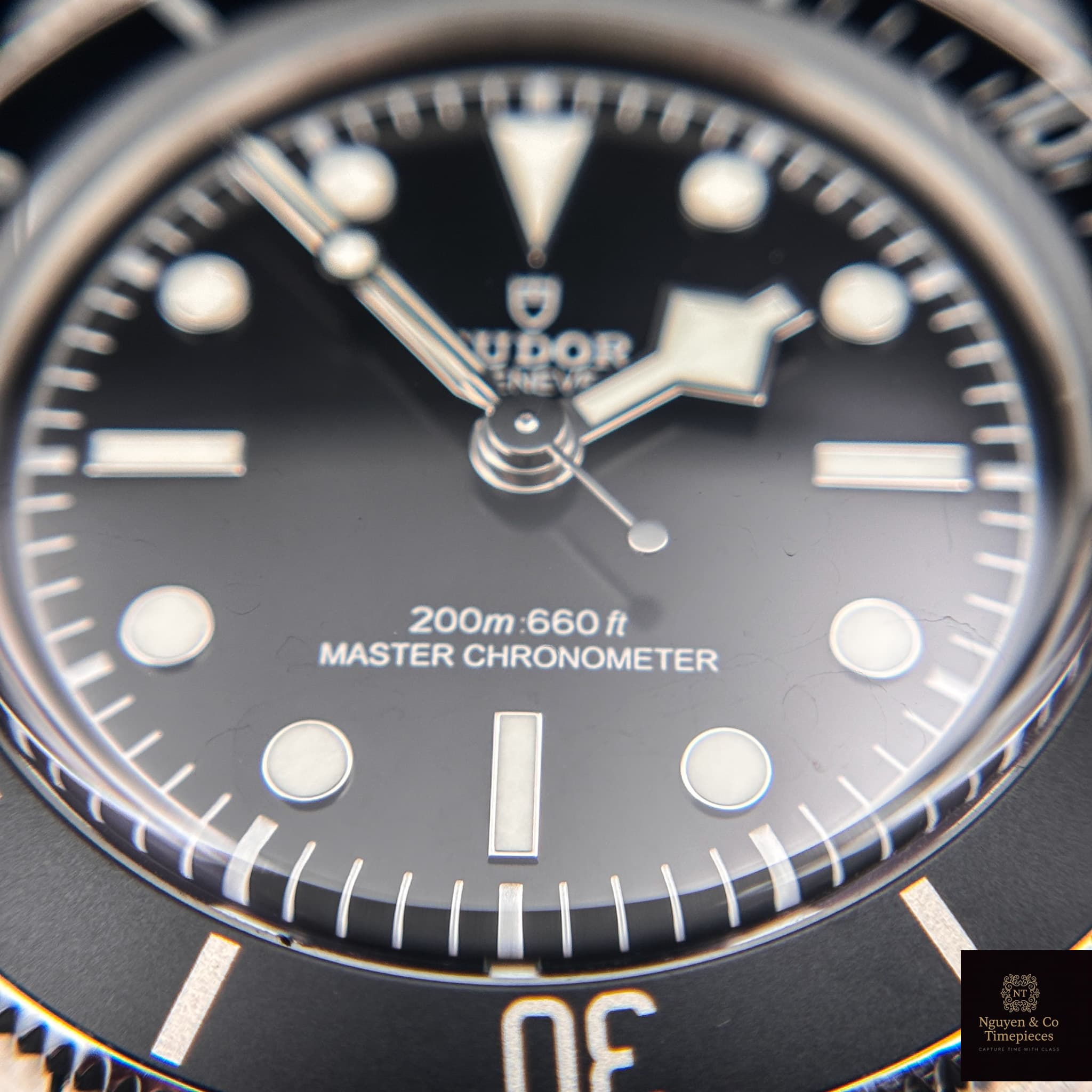 Tudor Black Bay 41mm "Monochrome"